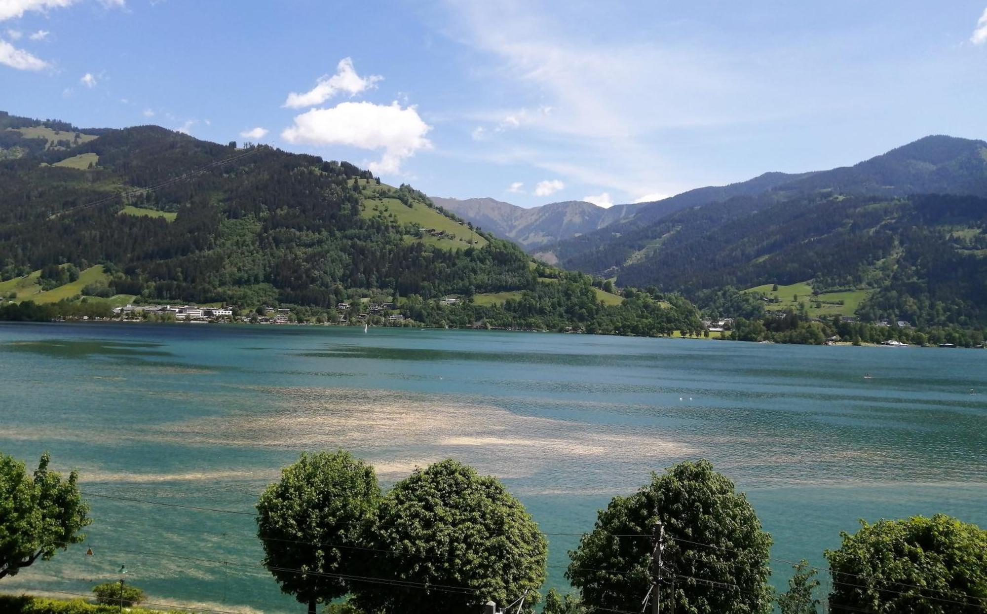 Haus Ditzer - Villa Theresia Zell am See Eksteriør billede
